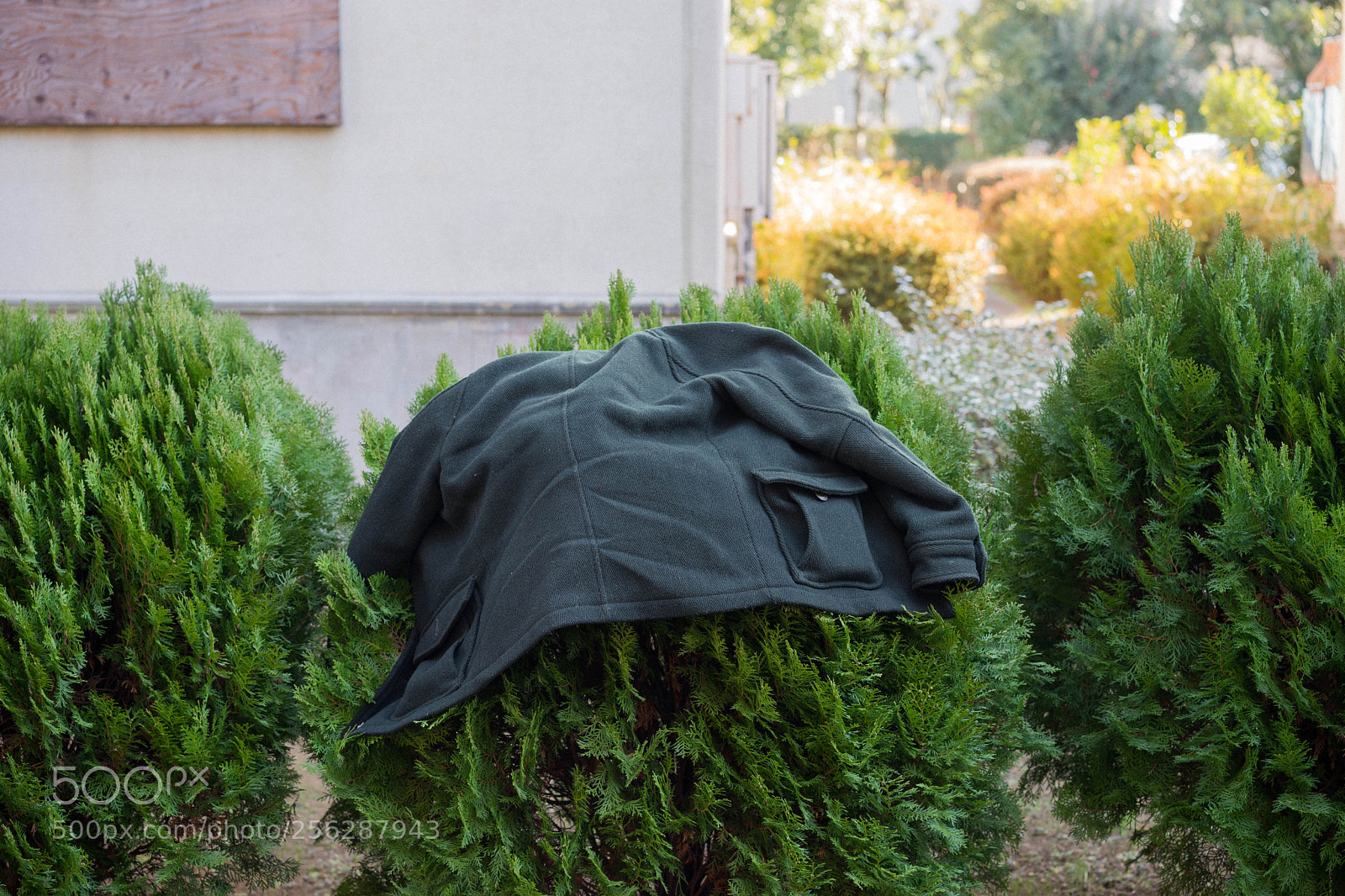 Sony a7 sample photo. - photography