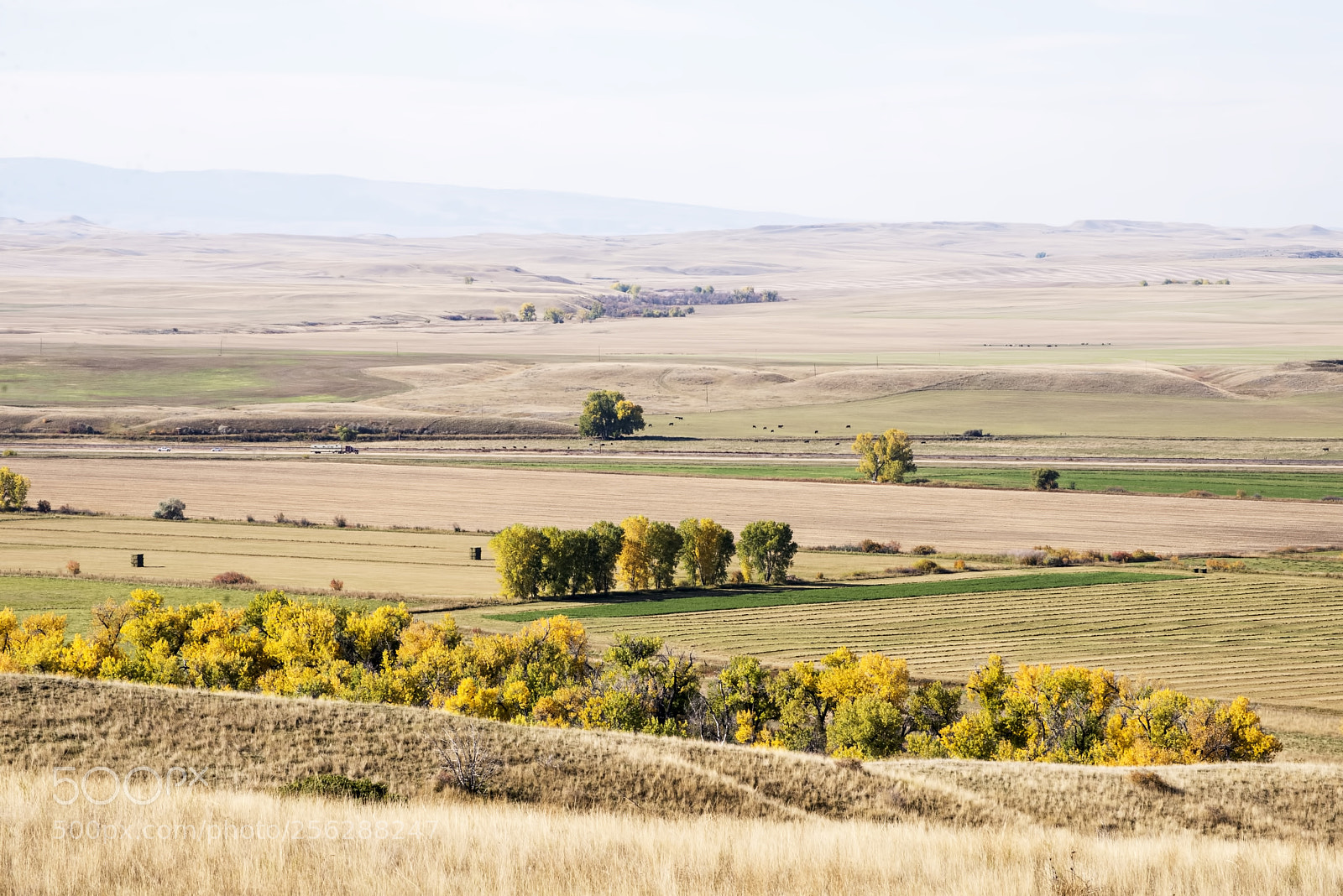 Nikon D600 sample photo. Across the plains! (1) photography
