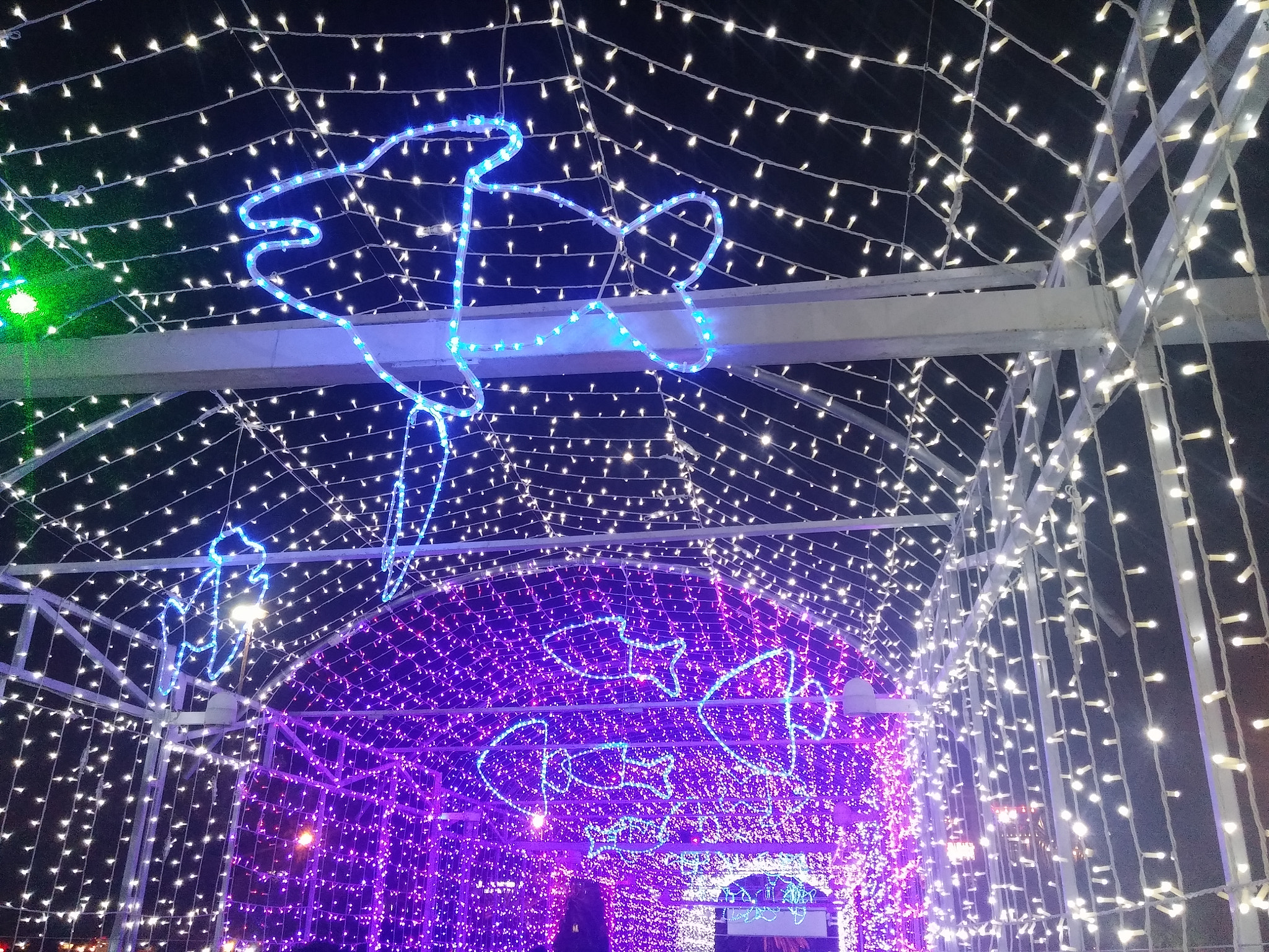 LG G3 sample photo. Nice neon in street photography