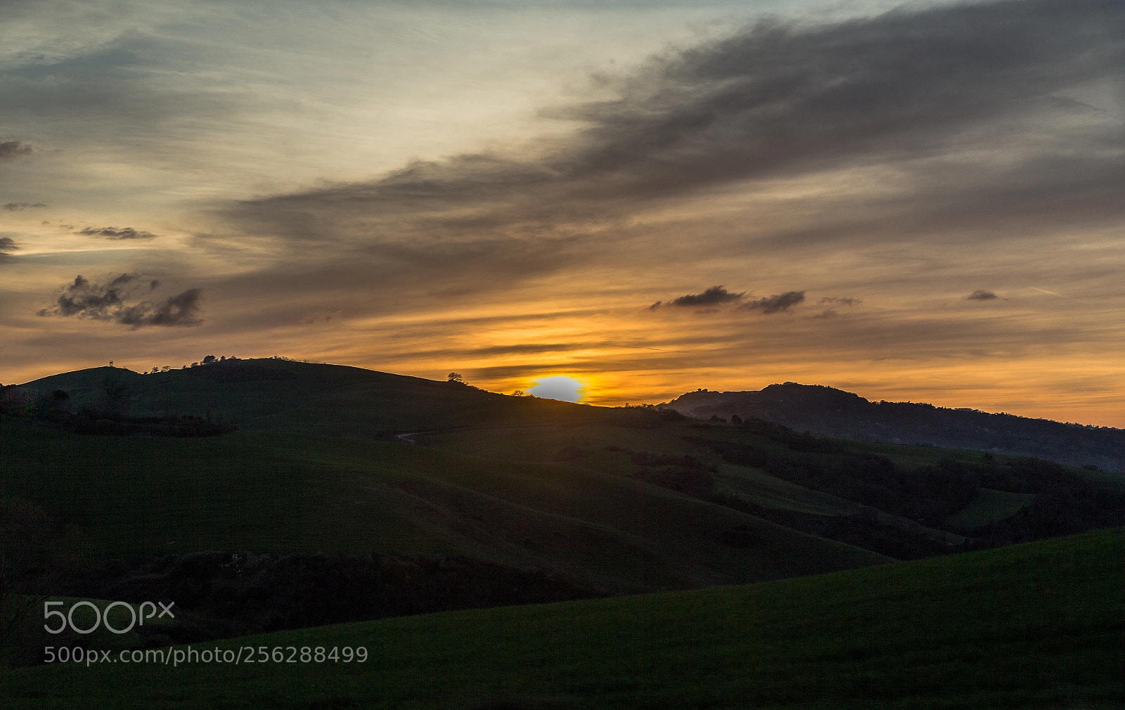 Canon EOS-1D X sample photo. Toscana chianti iv photography