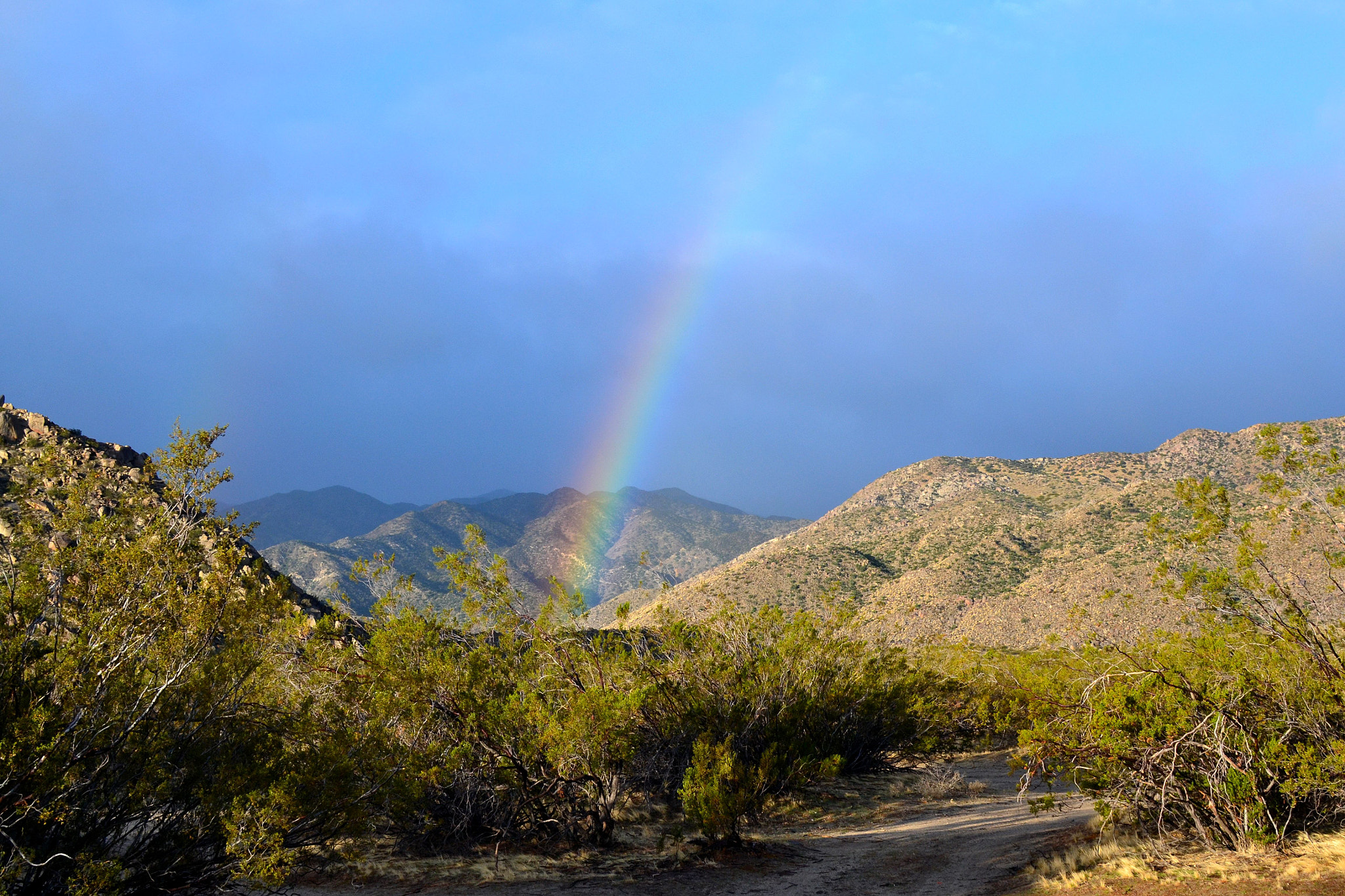 Nikon D3100 + Nikon AF-S DX Nikkor 35mm F1.8G sample photo. Rainbow anza borrego photography