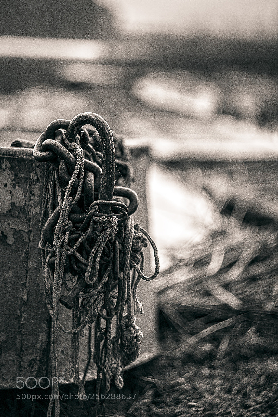 Nikon D610 sample photo. The boat photography
