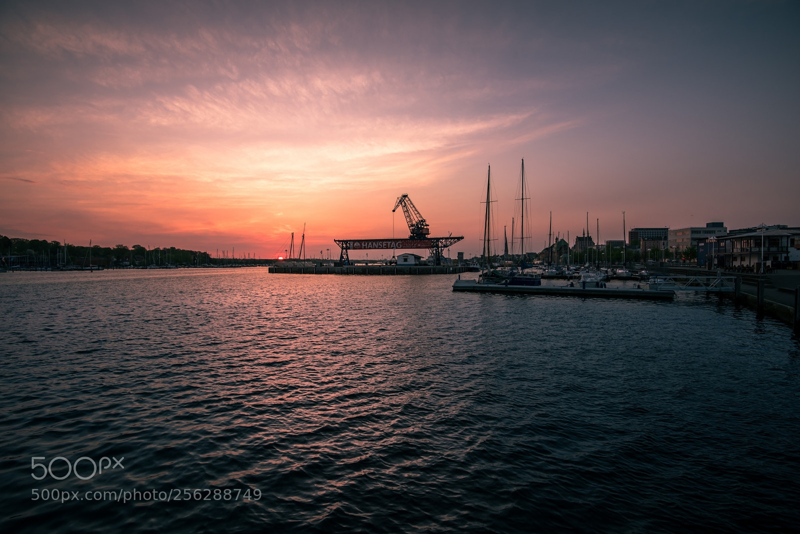 Nikon D750 sample photo. Harbor photography