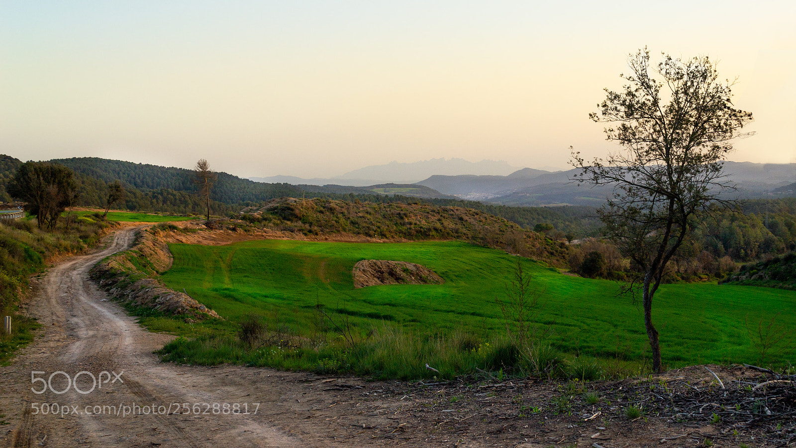 Nikon D3100 sample photo. Untitled photography
