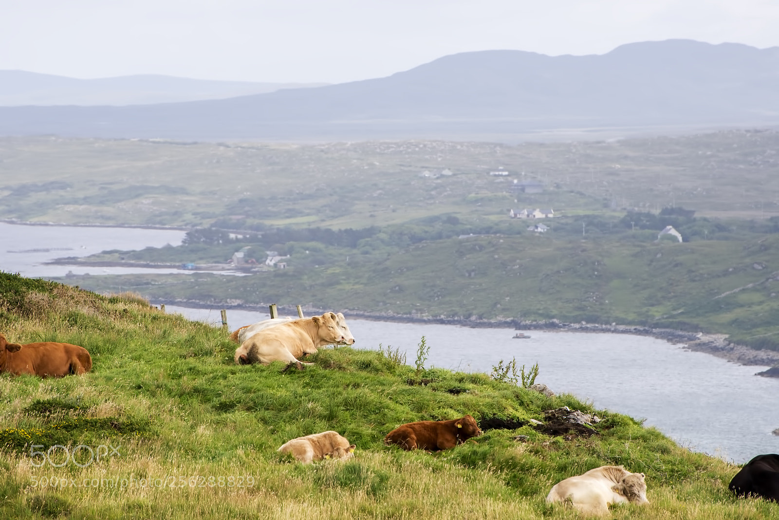 Nikon D600 sample photo. Scenic slumbers (1) photography