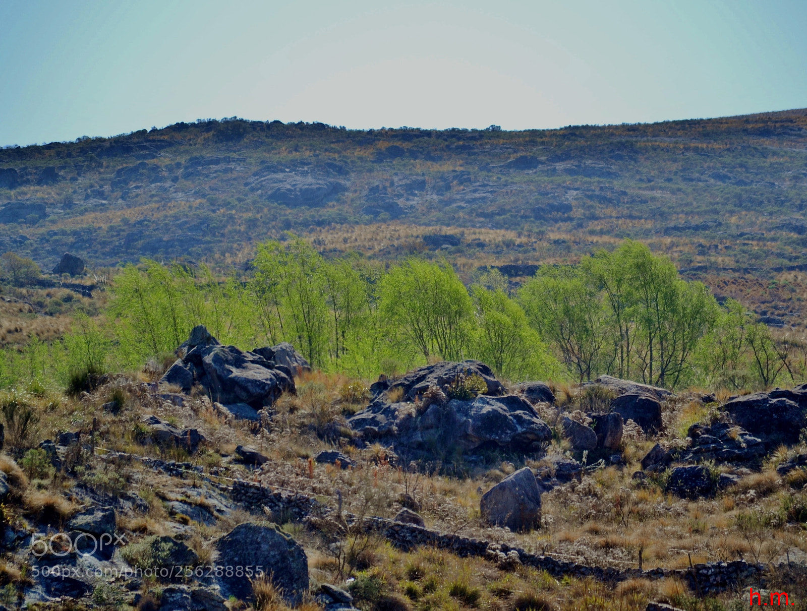 Nikon D3100 sample photo. Bacbo photography
