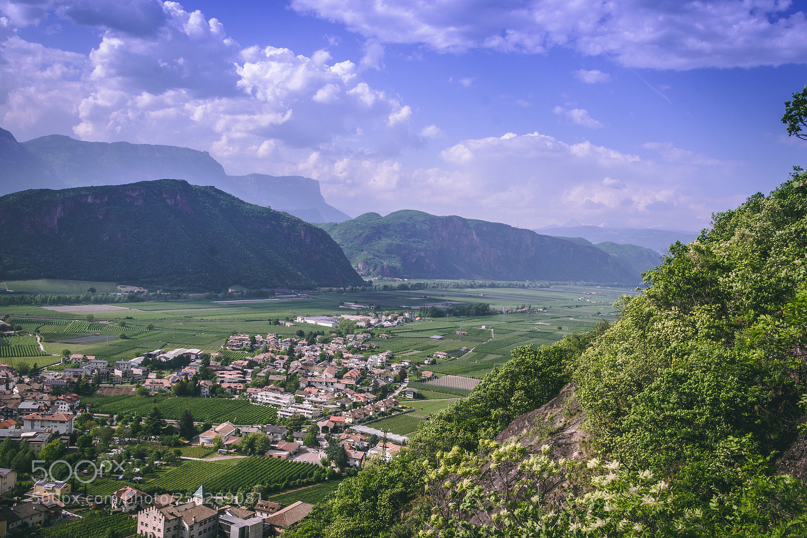 Nikon D7200 sample photo. A wonderful spring view photography