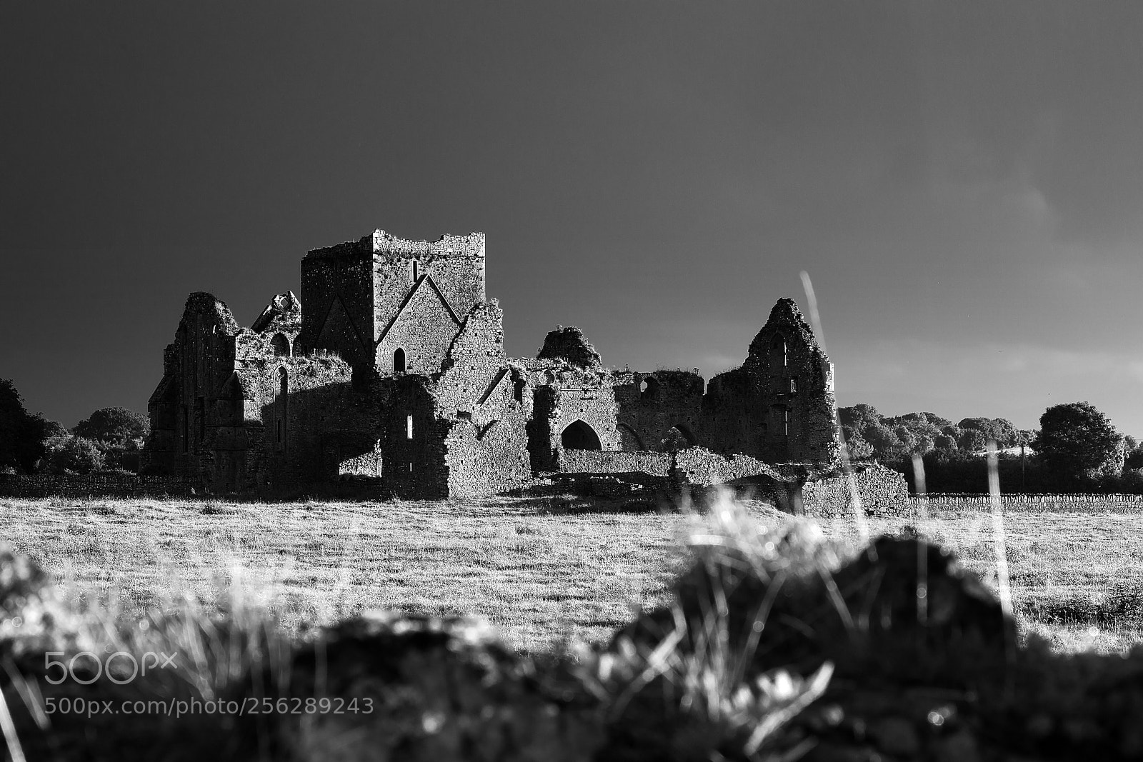 Canon EOS 5D Mark II sample photo. Hore abbey photography