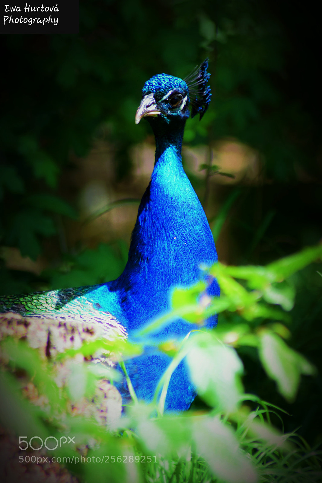 Nikon D3300 sample photo. Untitled photography