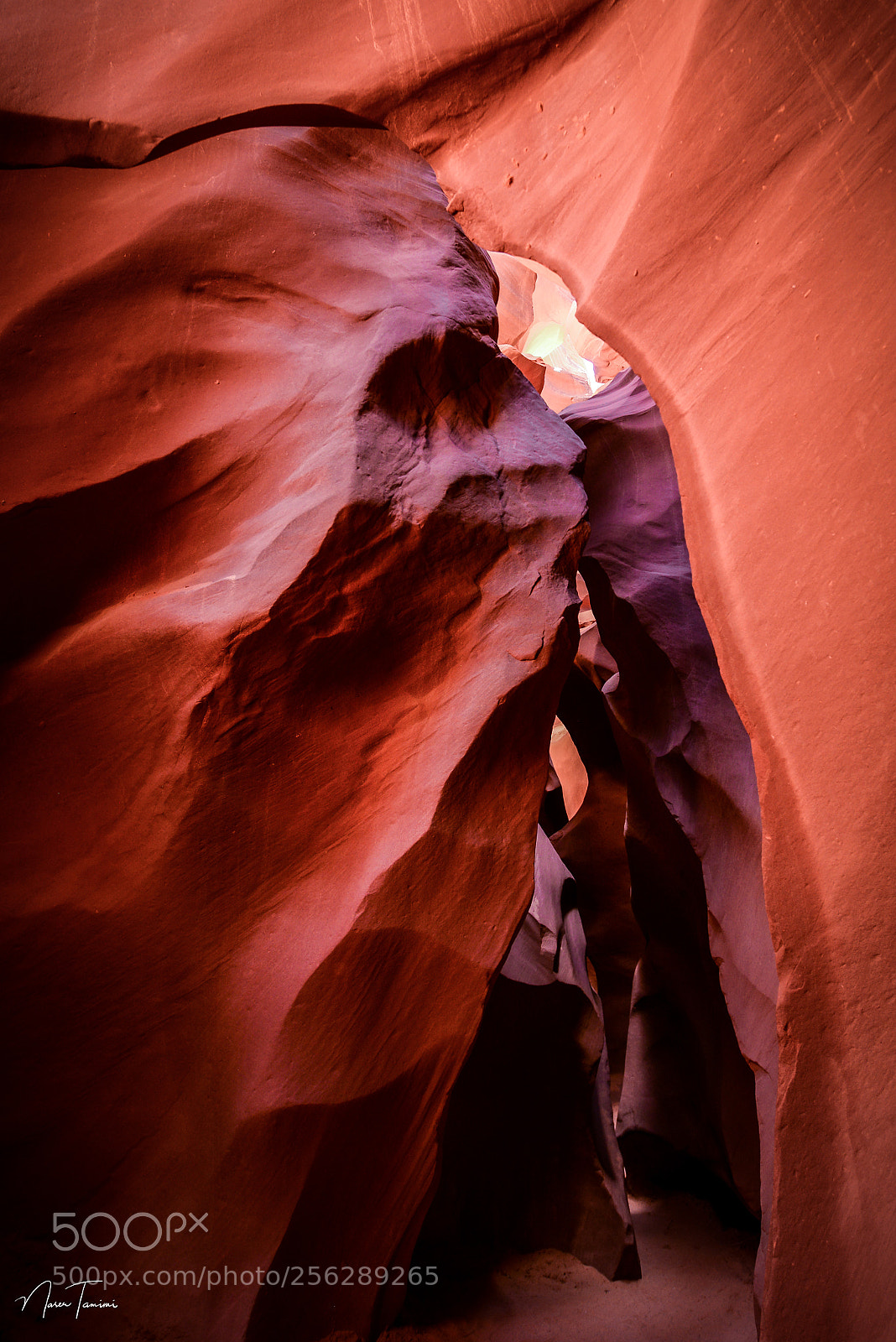 Nikon D600 sample photo. The chief photography