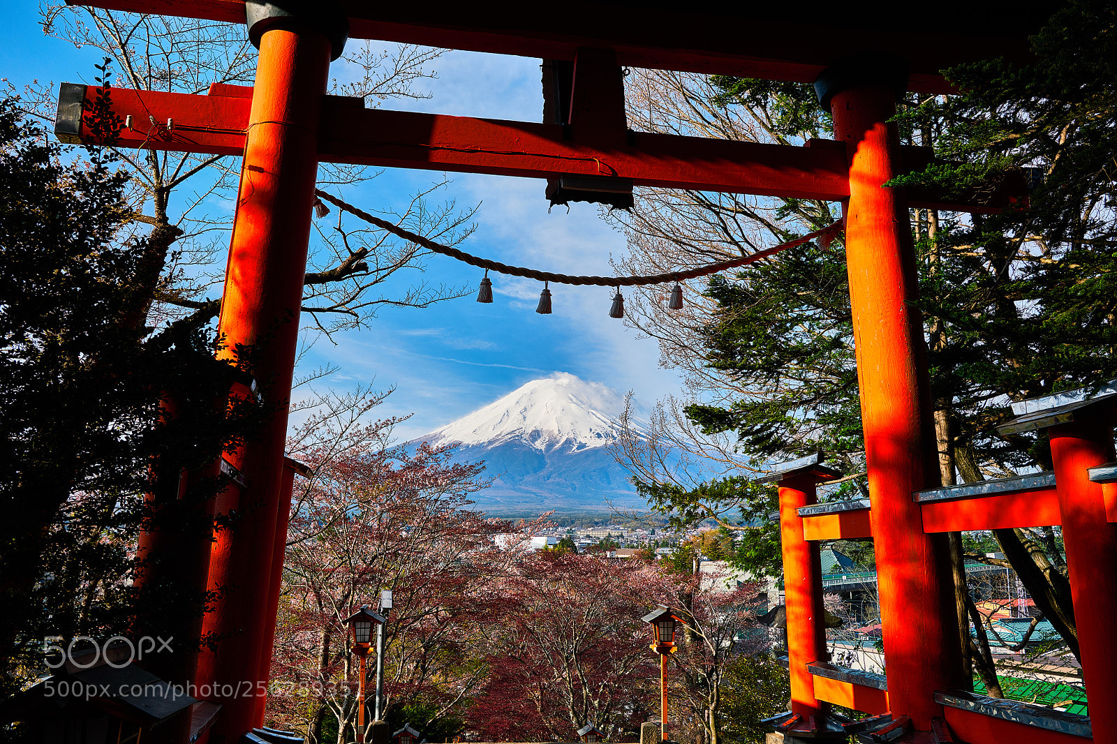 Nikon D850 sample photo. Fuji & torii photography
