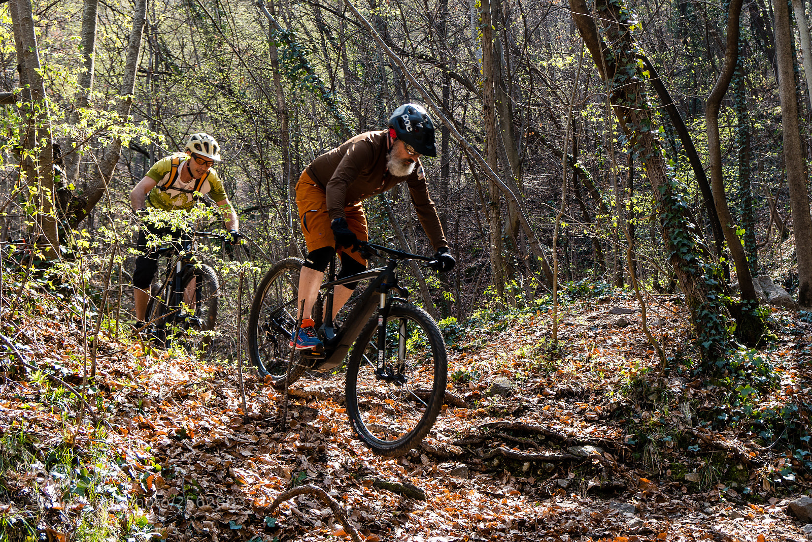 Sony a6300 sample photo. Forest riders photography