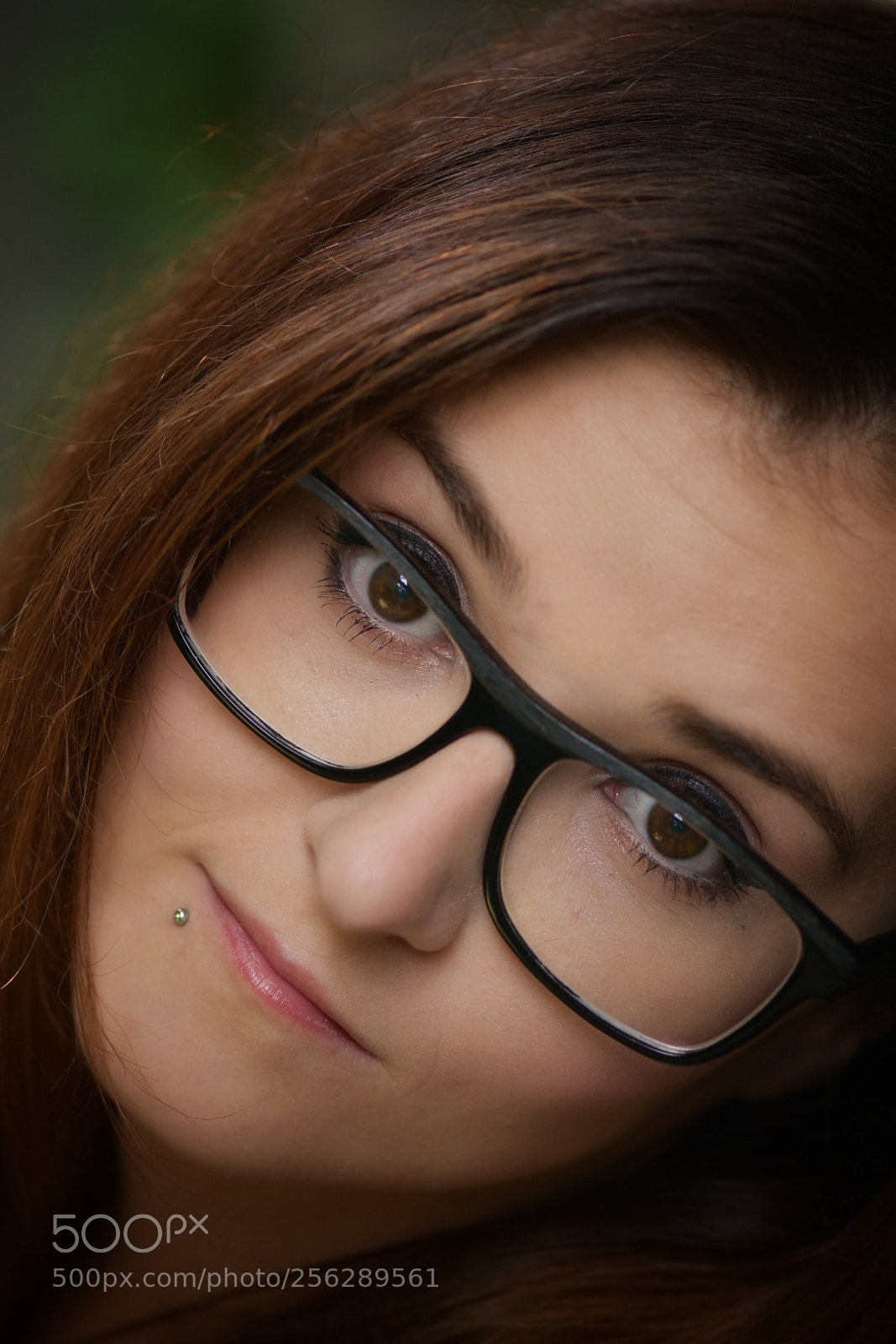 Nikon D500 sample photo. Untitled photography