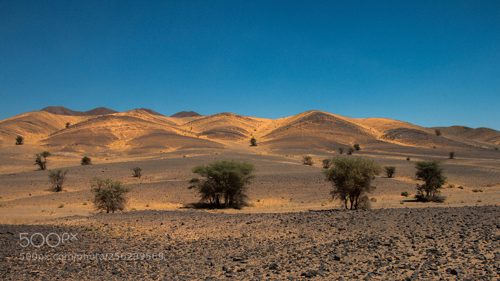 Canon EOS 70D sample photo. Pres de merzouga photography