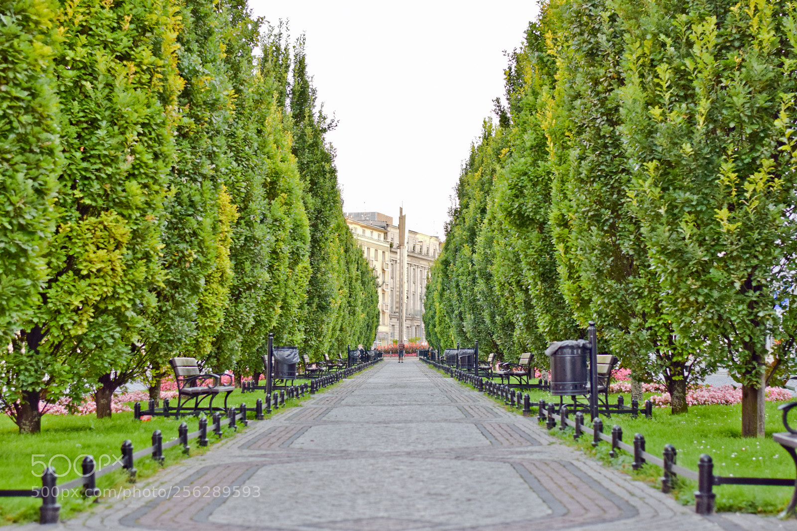 Nikon D5300 sample photo. Square in poznan photography