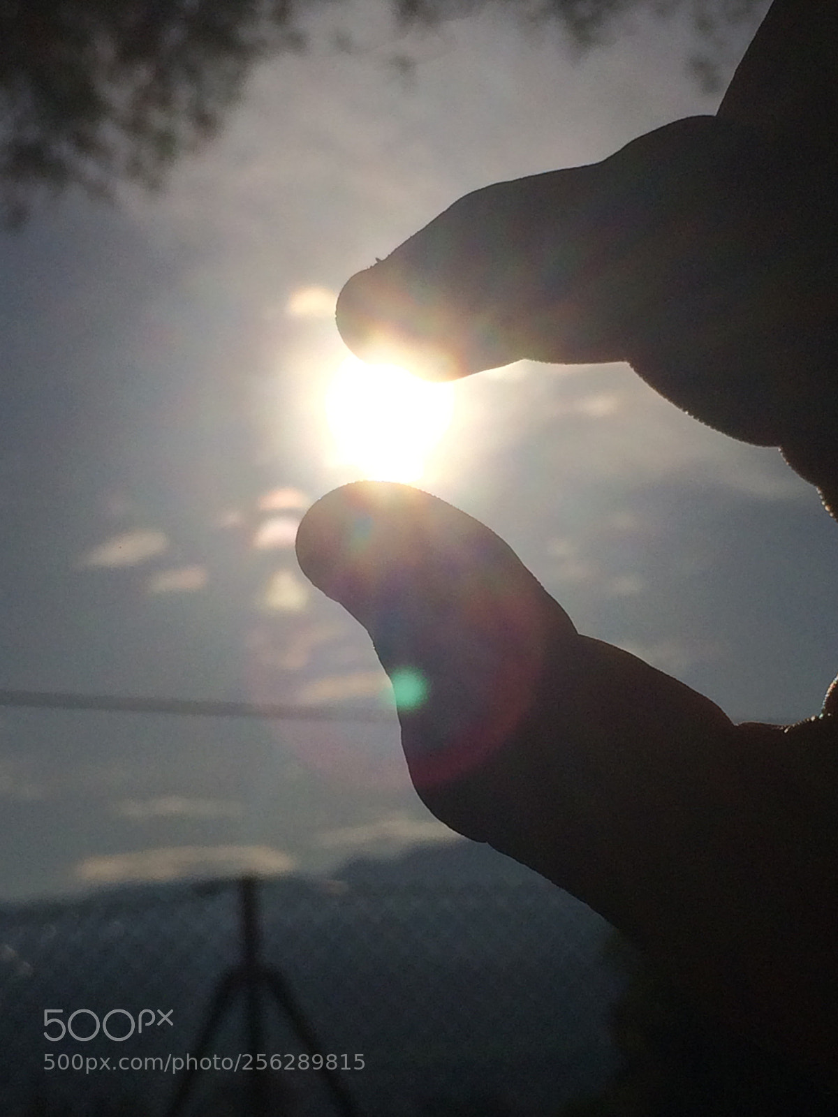 Apple iPhone 5s sample photo. My sun... photography