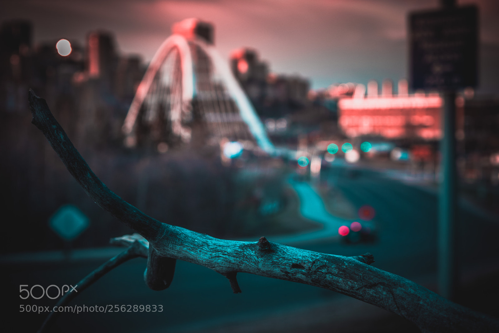 Nikon D5300 sample photo. Walterdale bridge & fallen tree photography