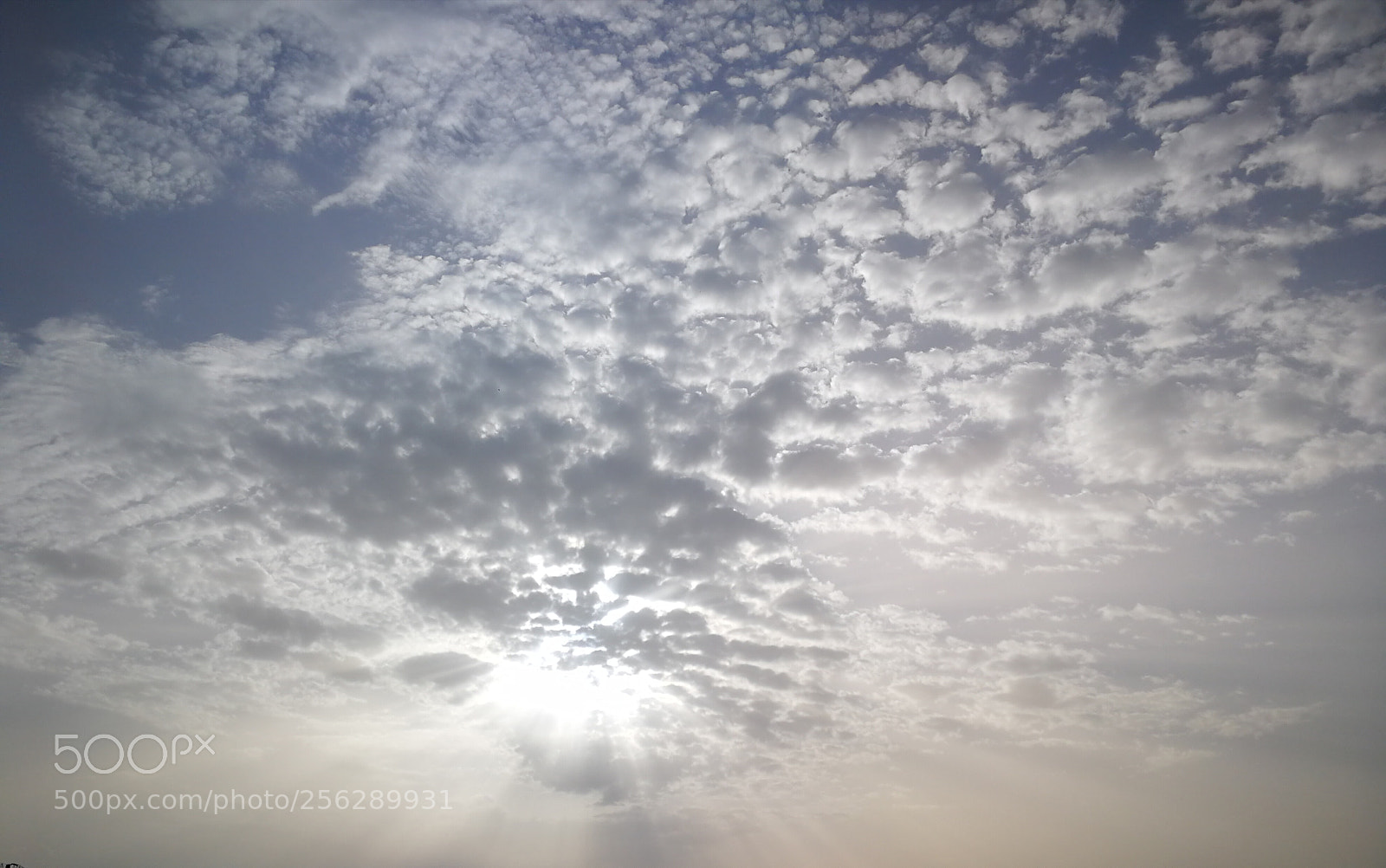 HUAWEI P10 sample photo. Untitled photography