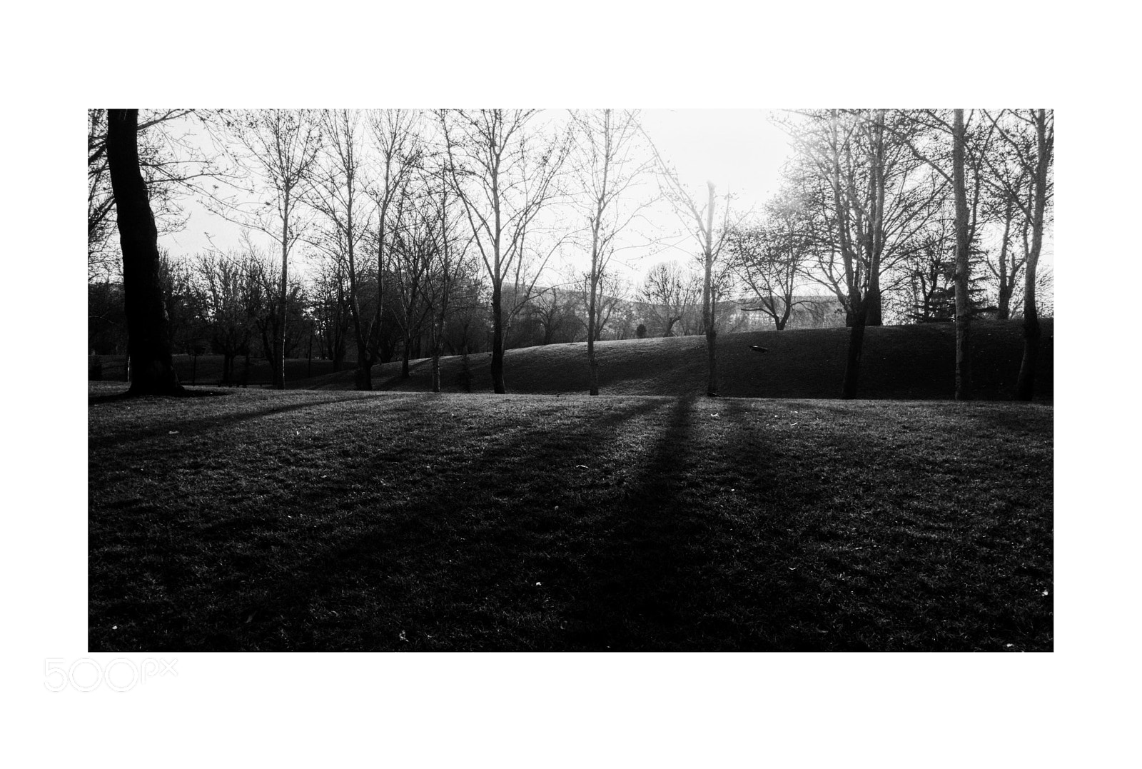 LG G5 sample photo. Untitled photography