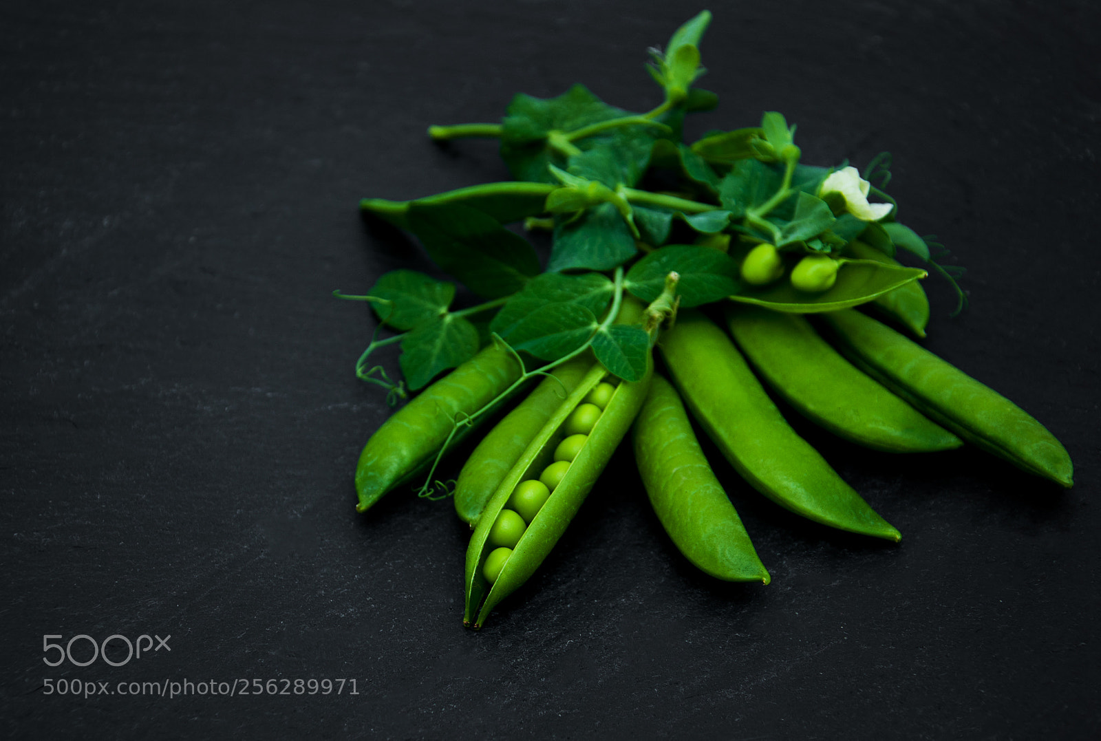 Nikon D90 sample photo. Green peas on a photography