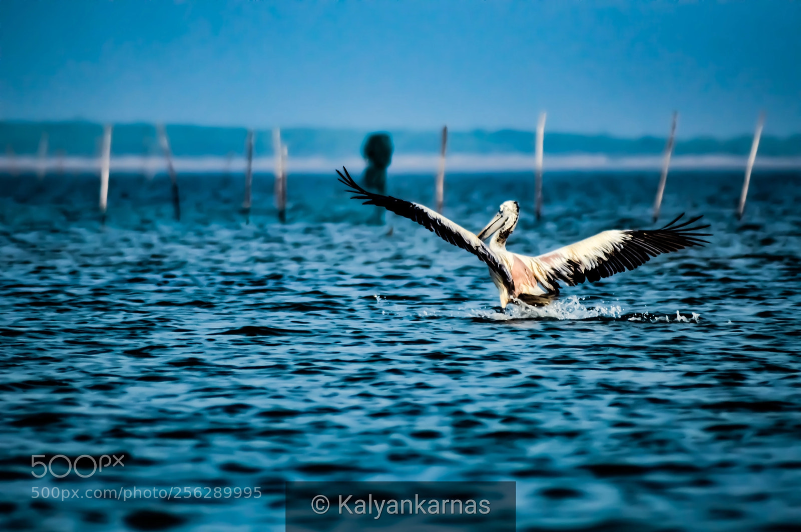 Nikon D3200 sample photo. Untitled photography