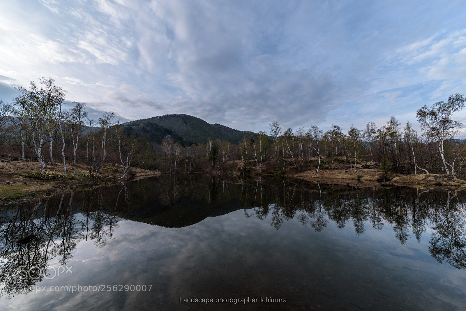 Nikon D750 sample photo. Cloudy morning photography