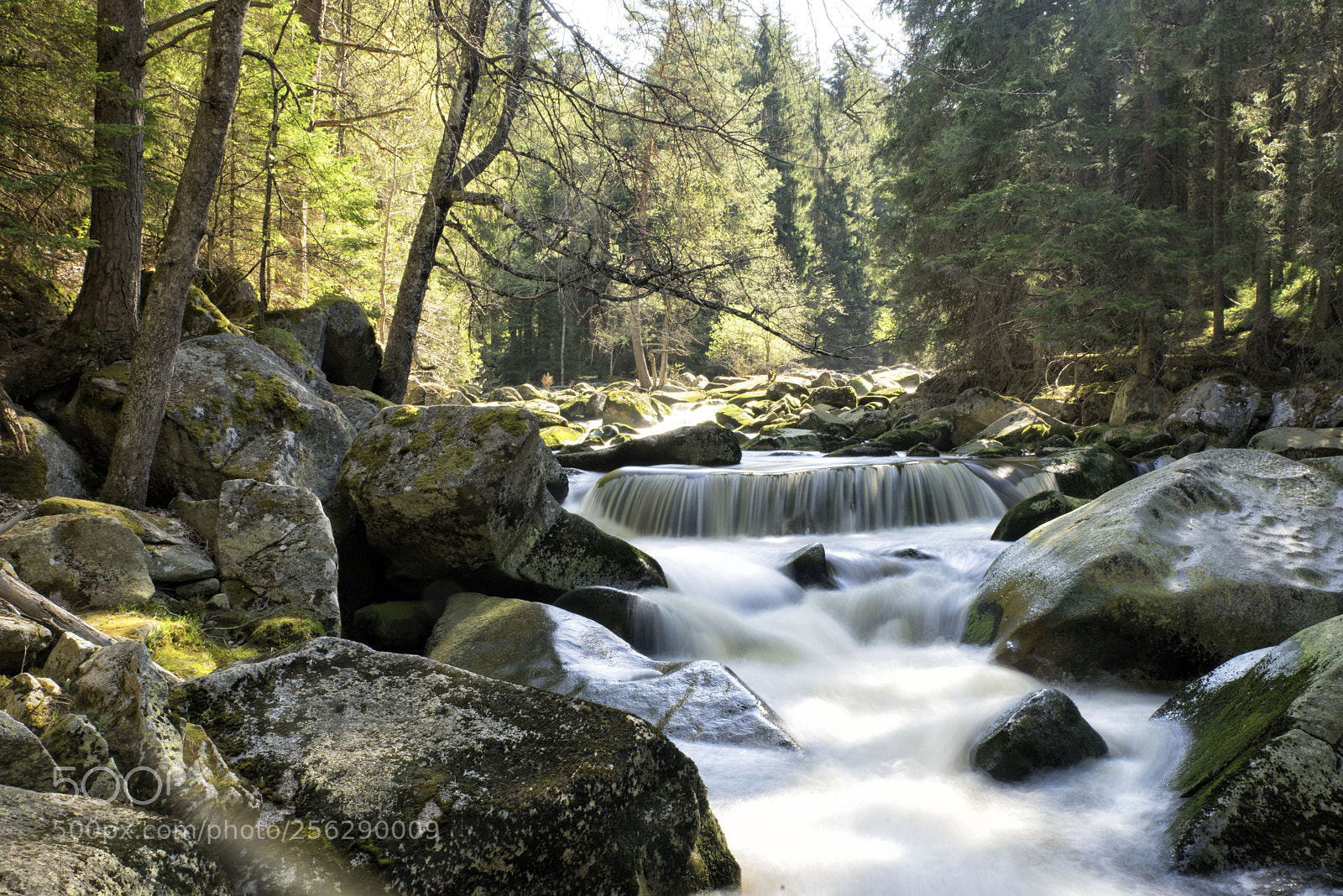 Nikon D750 sample photo. Mystic river photography