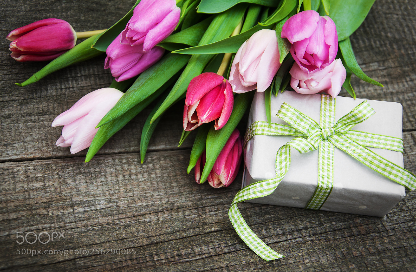 Nikon D90 sample photo. Spring tulips flowers and photography