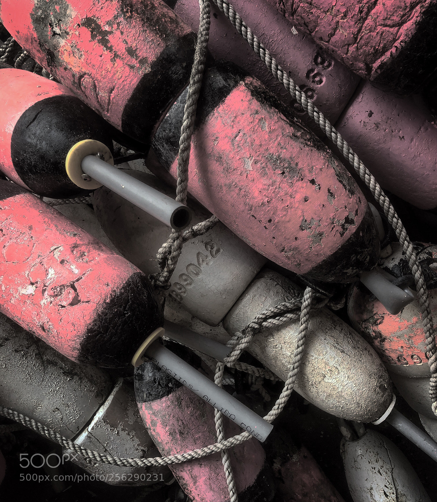 Apple iPhone X sample photo. Lobster buoy’s  photography