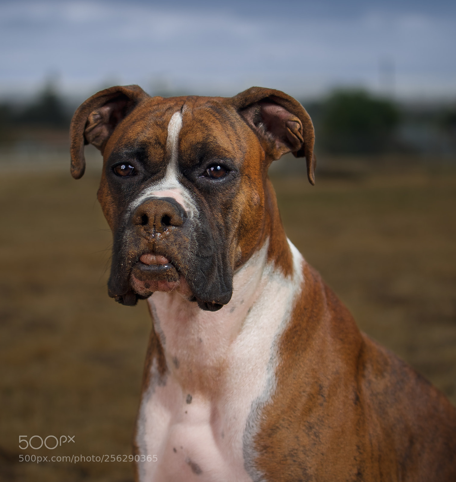 Sony a7 II sample photo. Always getting dirty photography