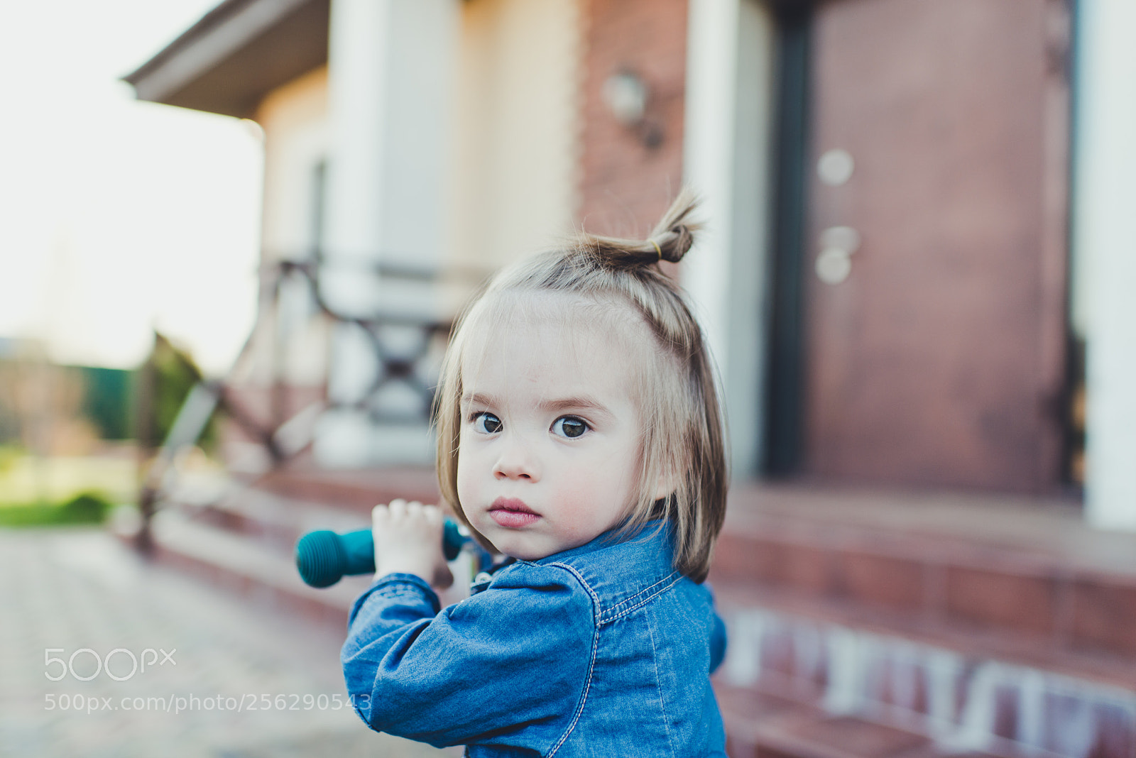 Nikon D800E sample photo. Untitled photography