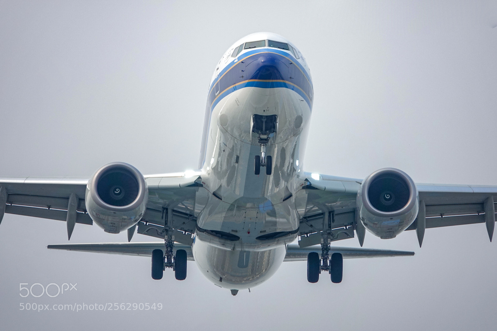 Sony Cyber-shot DSC-RX10 IV sample photo. China southern airlines boeing-737-700 photography