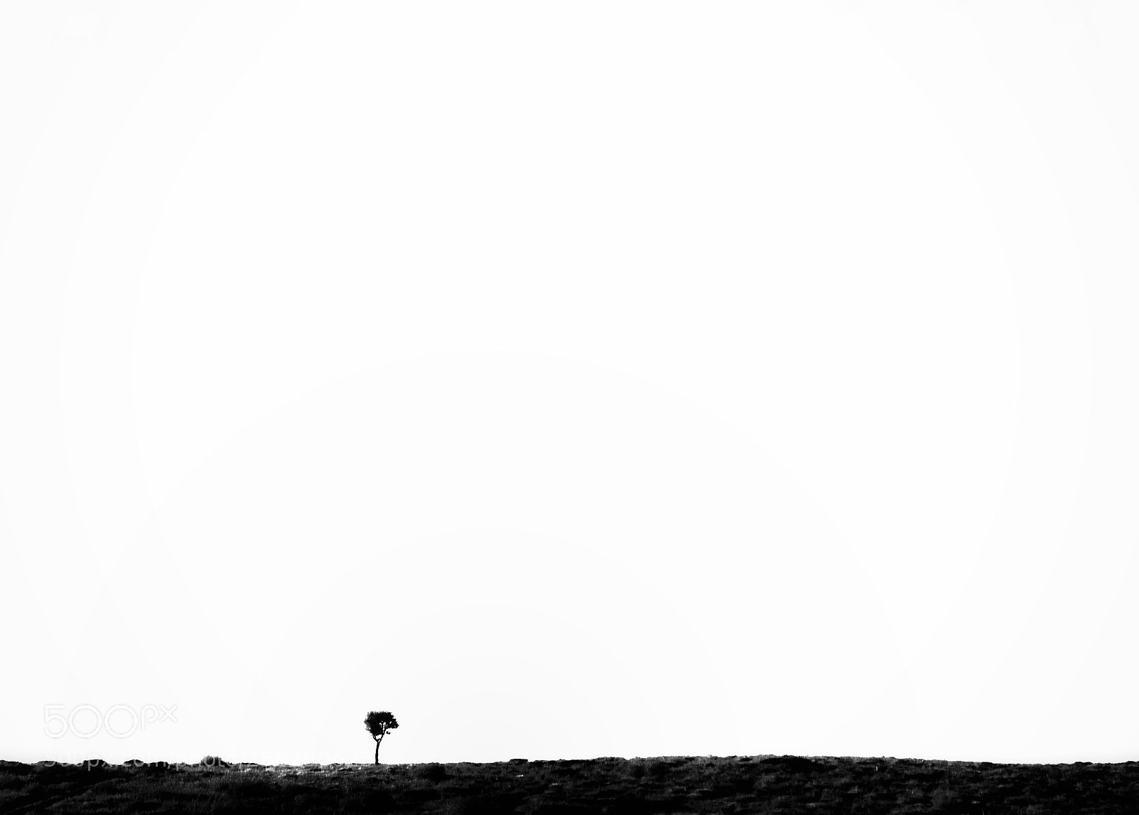 Nikon D7000 sample photo. Untitled photography
