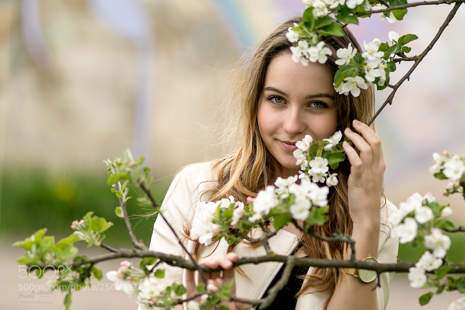 Canon EOS 5D Mark IV sample photo. Apple blossom ii. photography