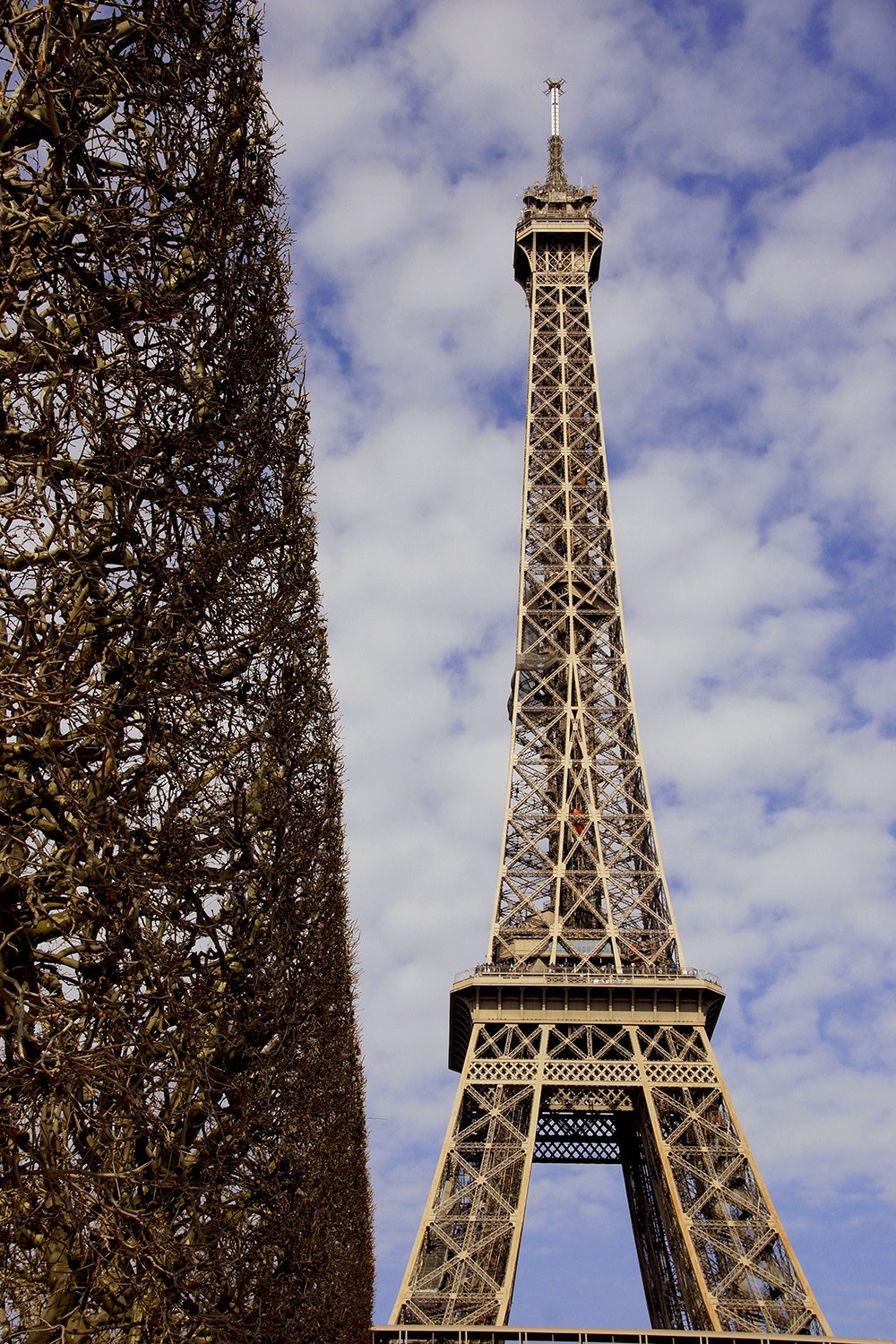 Sony SLT-A65 (SLT-A65V) sample photo. Eiffel tower photography