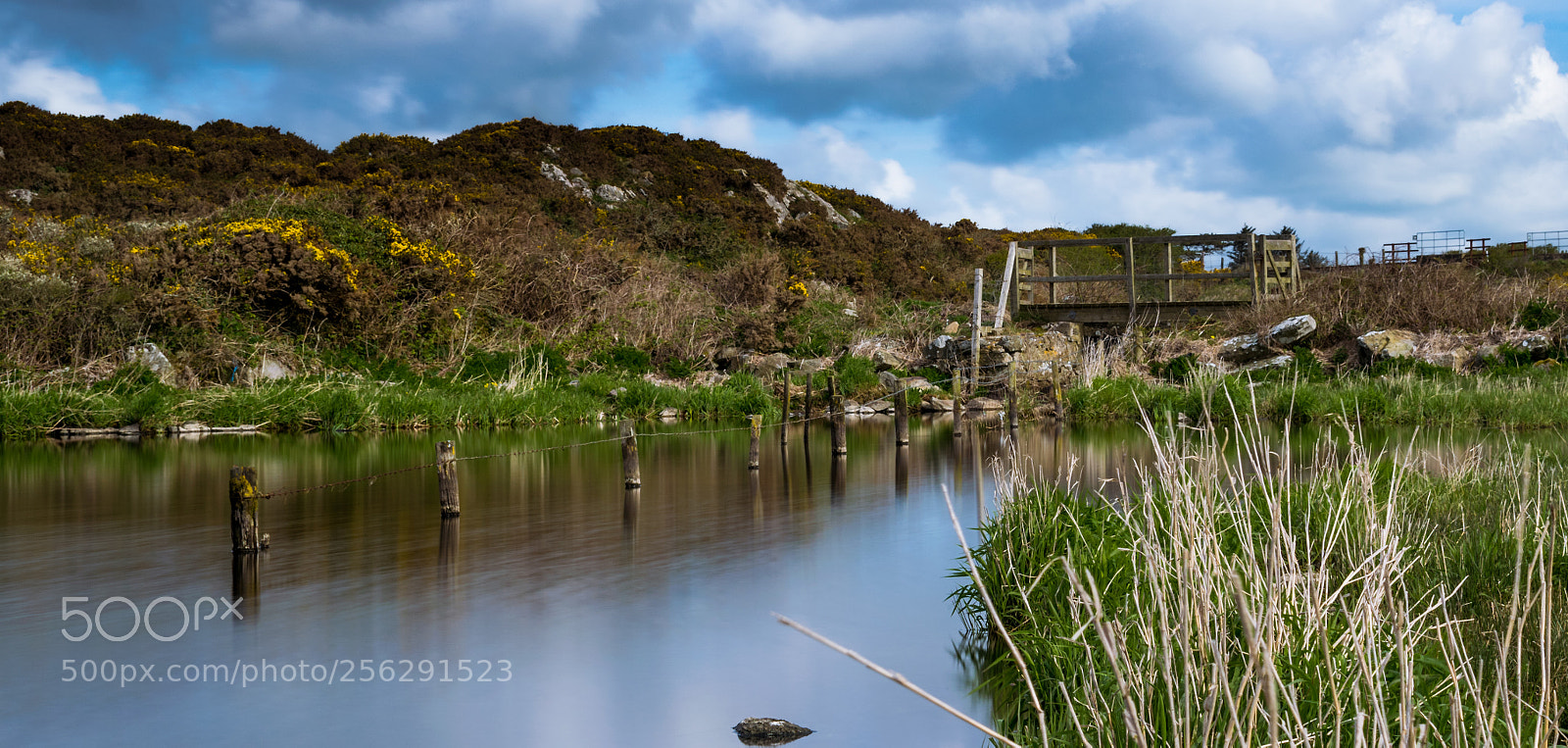 Nikon D3300 sample photo. Bridge llyn maelog photography