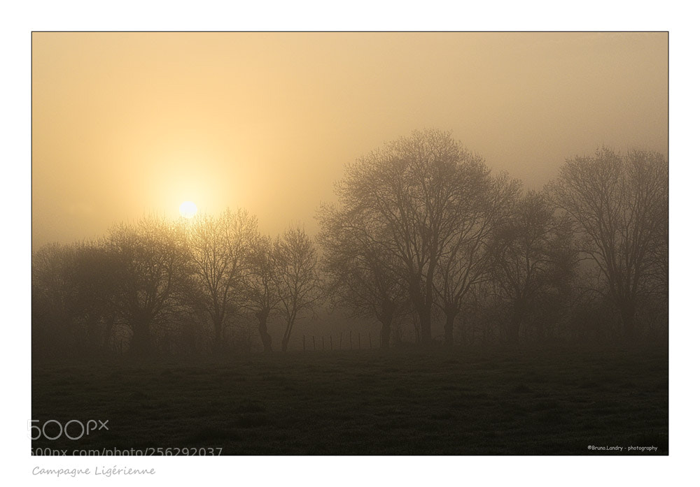 Nikon D5500 sample photo. Ma campagne au lever photography