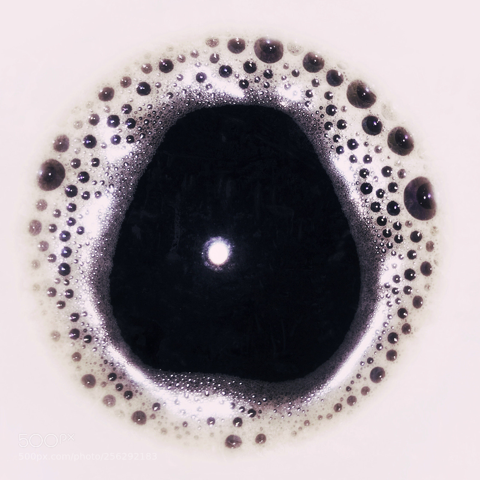 Apple iPhone 6 Plus sample photo. Coffee eye photography