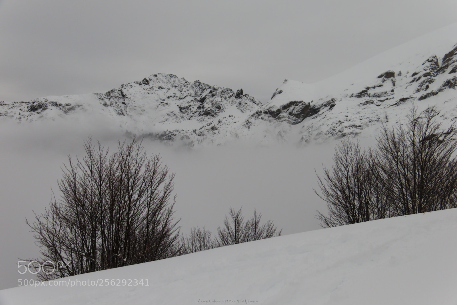 Fujifilm X-T1 sample photo. Summit photography