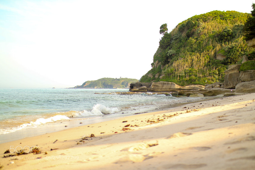 Canon EOS 550D (EOS Rebel T2i / EOS Kiss X4) sample photo. Shimoda coastline photography