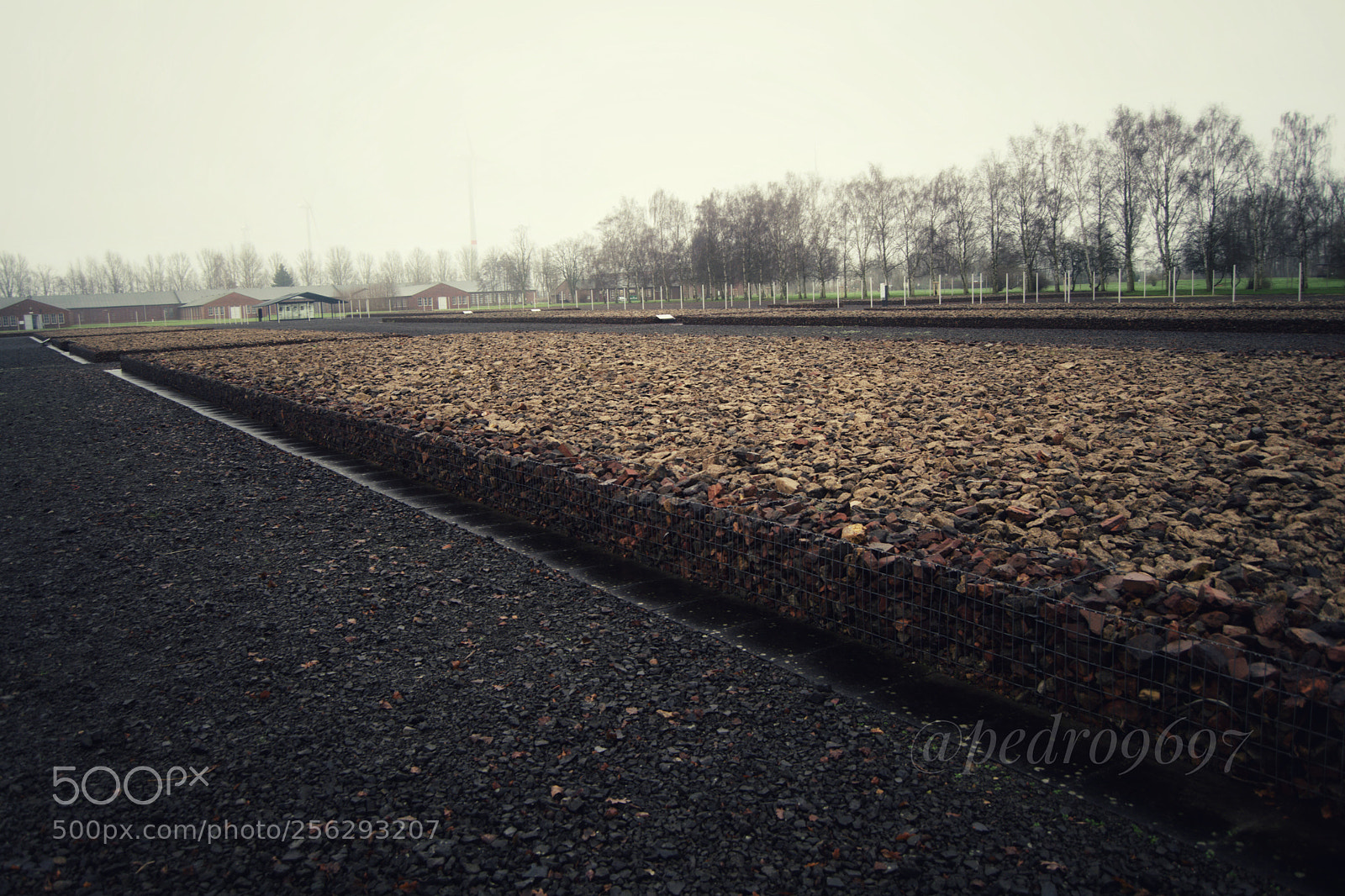 Nikon D3300 sample photo. Neuengamme concentration camp hamburg photography