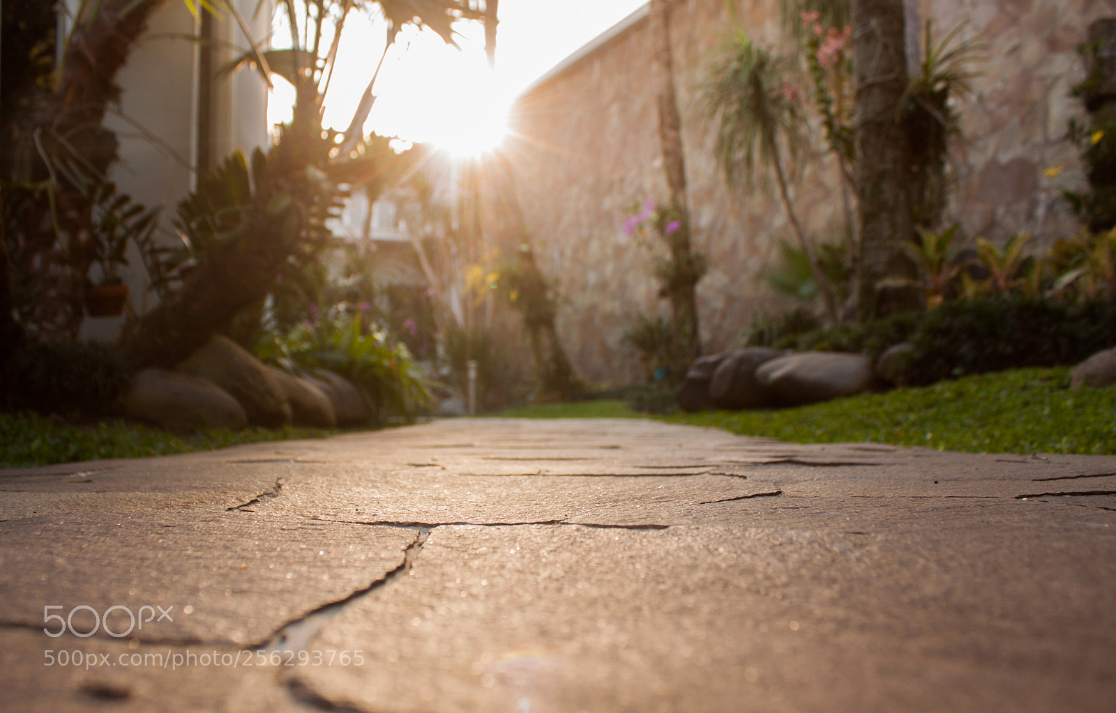 Canon EOS 500D (EOS Rebel T1i / EOS Kiss X3) sample photo. Chasing the sun photography