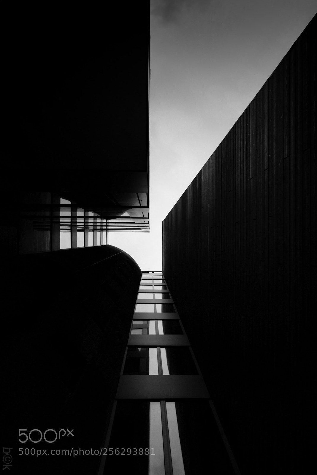 Fujifilm X70 sample photo. Looking up photography