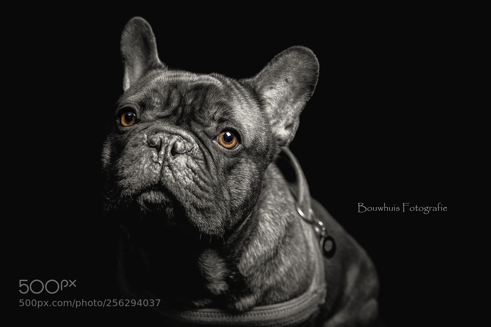 Canon EOS 5D Mark II sample photo. Desmo photography
