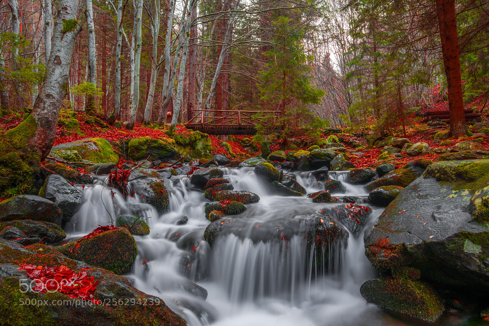 Nikon D810 sample photo. Autumn cascade photography