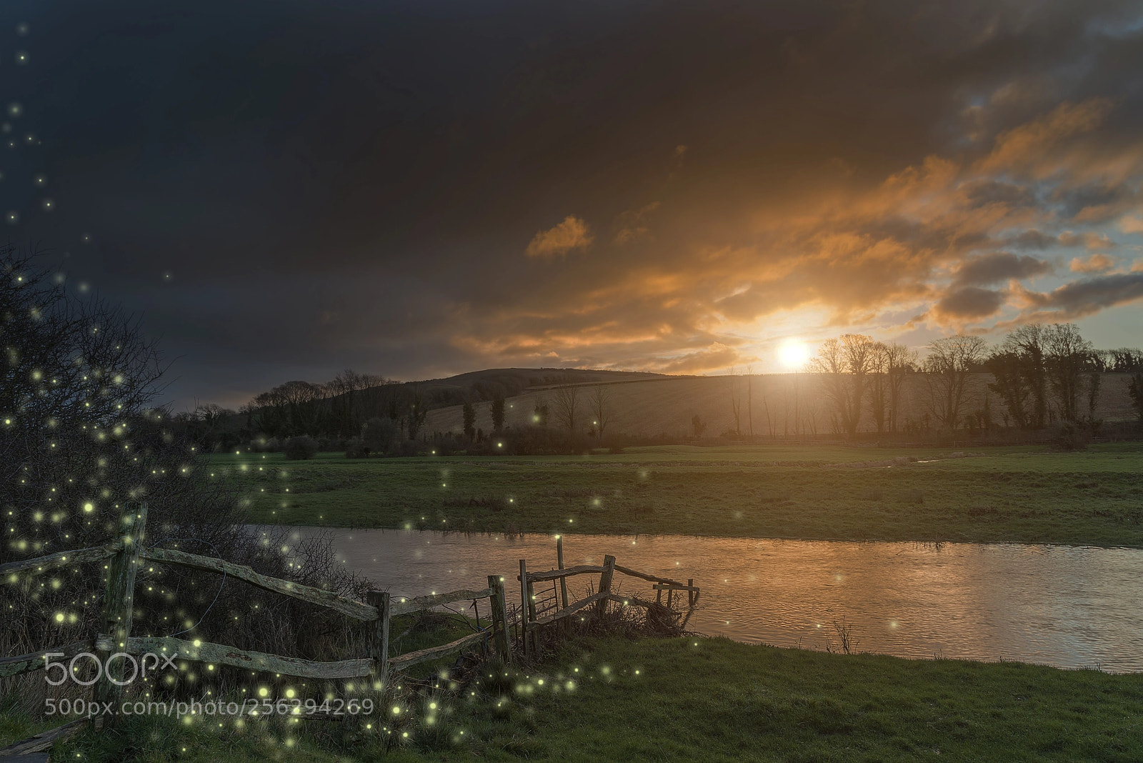 Nikon D800 sample photo. Beautiful fantasy picture of photography