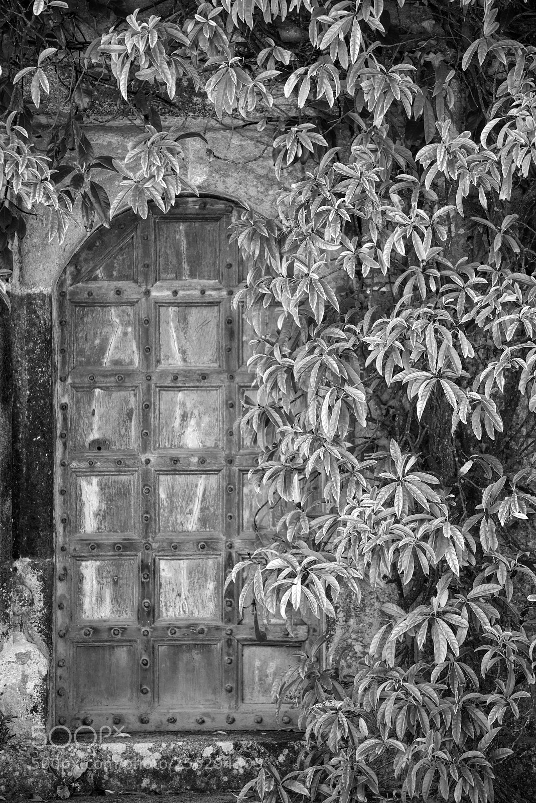 Nikon D800 sample photo. Beautiful vintage victorian mansion photography