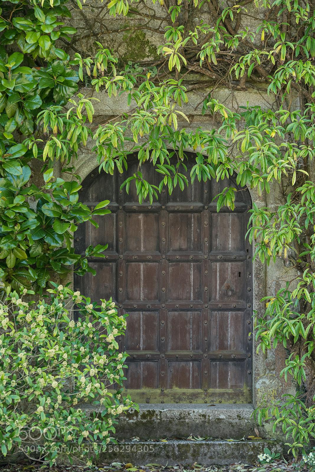 Nikon D800 sample photo. Beautiful vintage victorian mansion photography