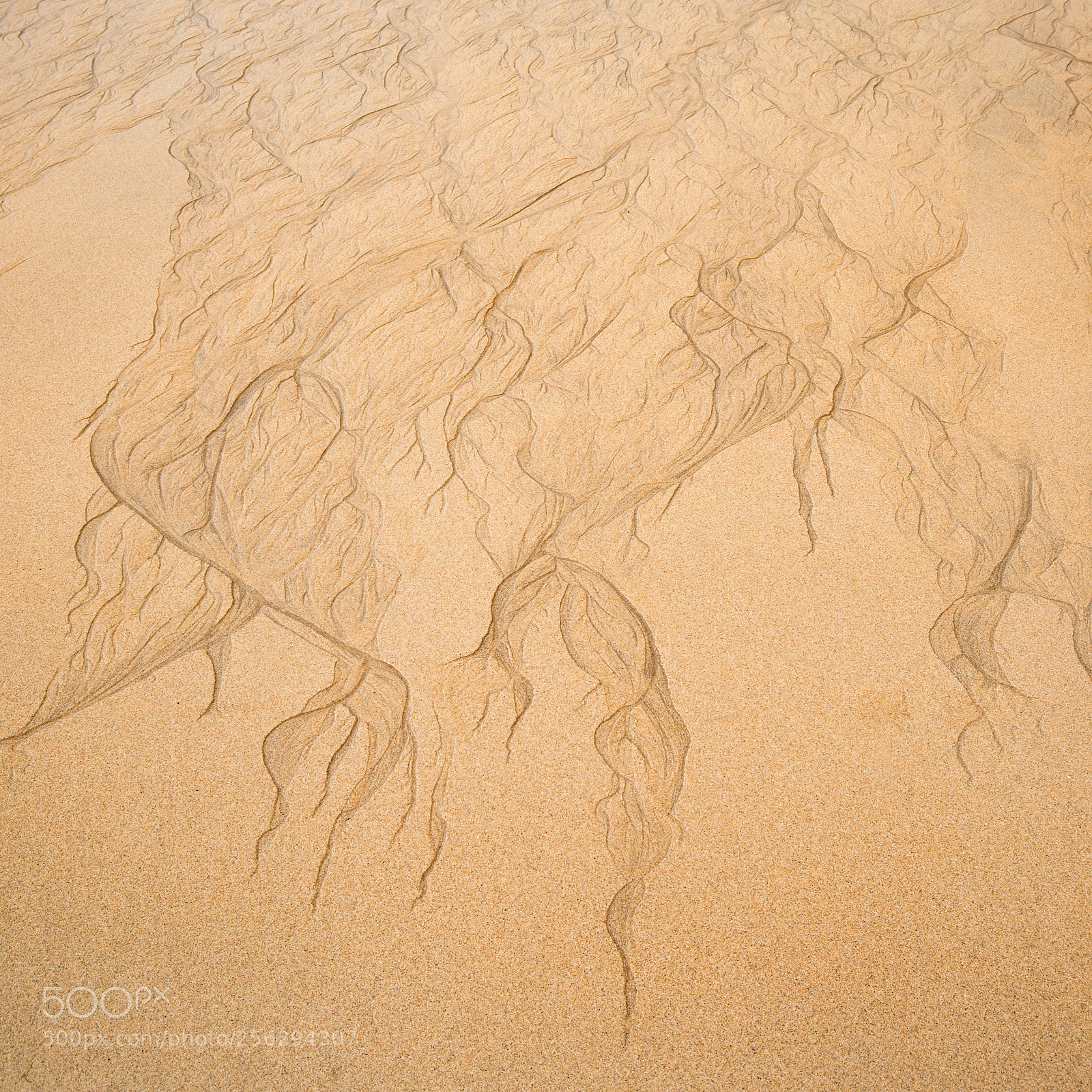 Nikon D800 sample photo. Lovely minimalist landscape image photography