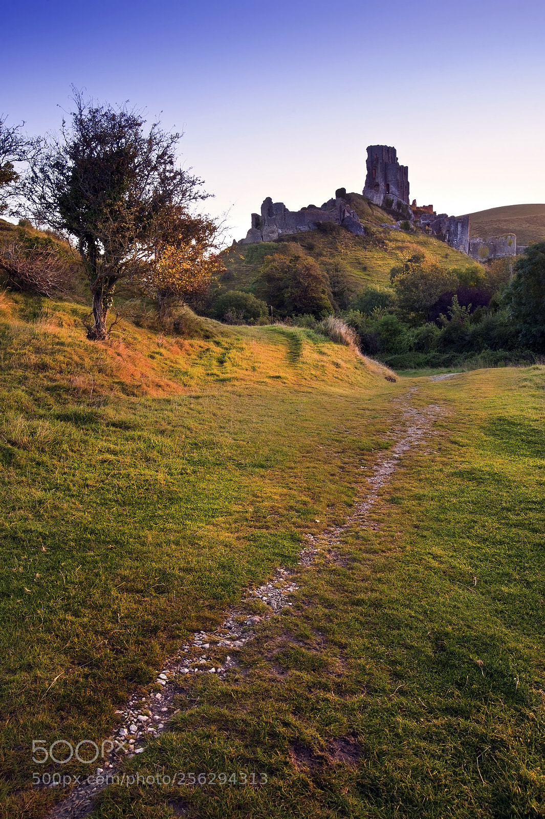 Nikon D700 sample photo. Old medieval castle ruins photography